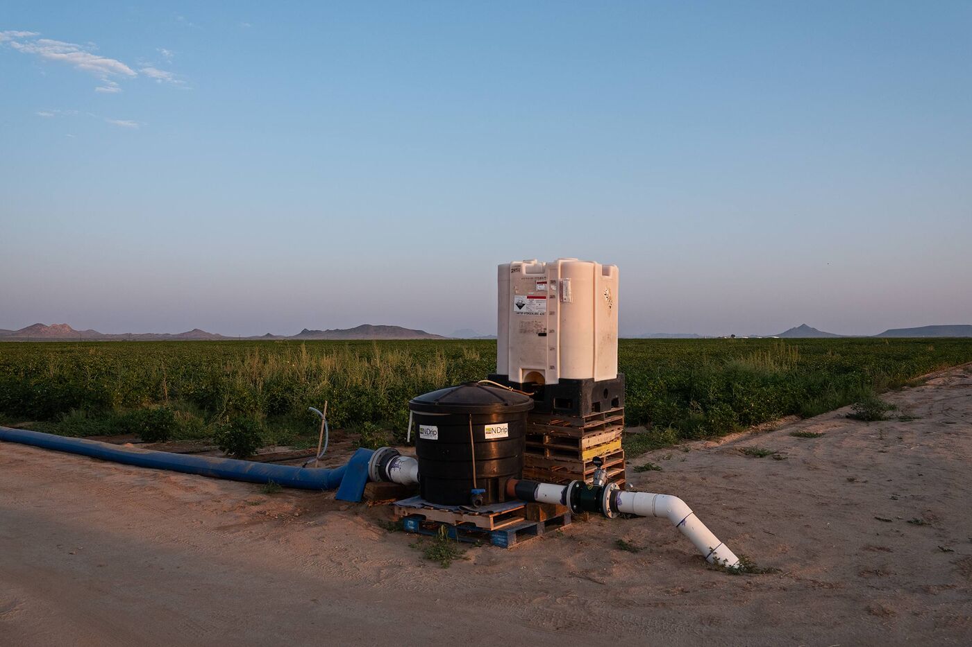 relates to A Tiny Piece of Plastic Is Helping Farmers Use Far Less Water