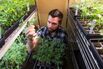Silicon Valley Is High on Innovation. And Pot