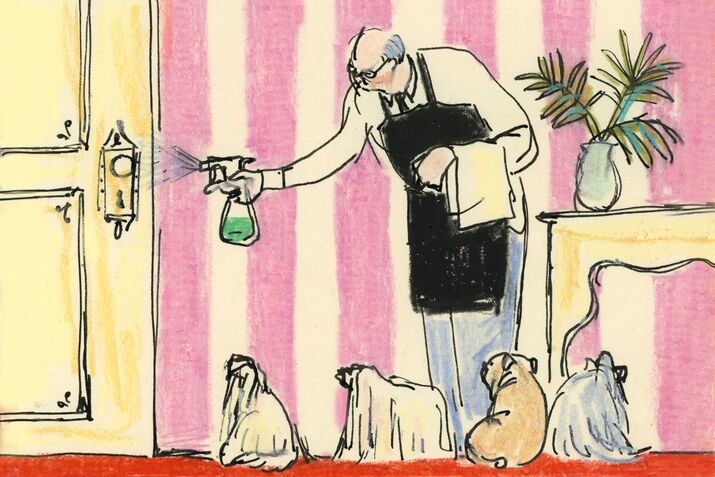 weekend-cleaner-horizontal