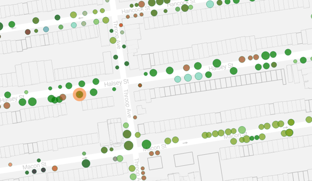 Mapping New York City's Trees (Now With More Trees) - Bloomberg