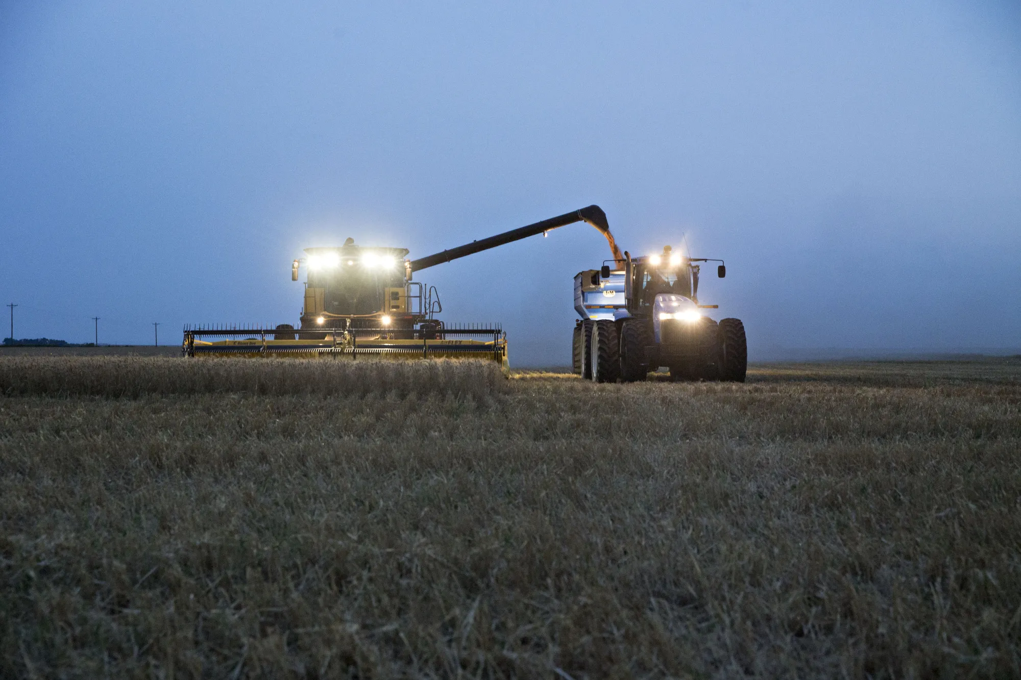 Wild Swings In Wheat Turn On U.S. Drought Threat, Export Outlook 
