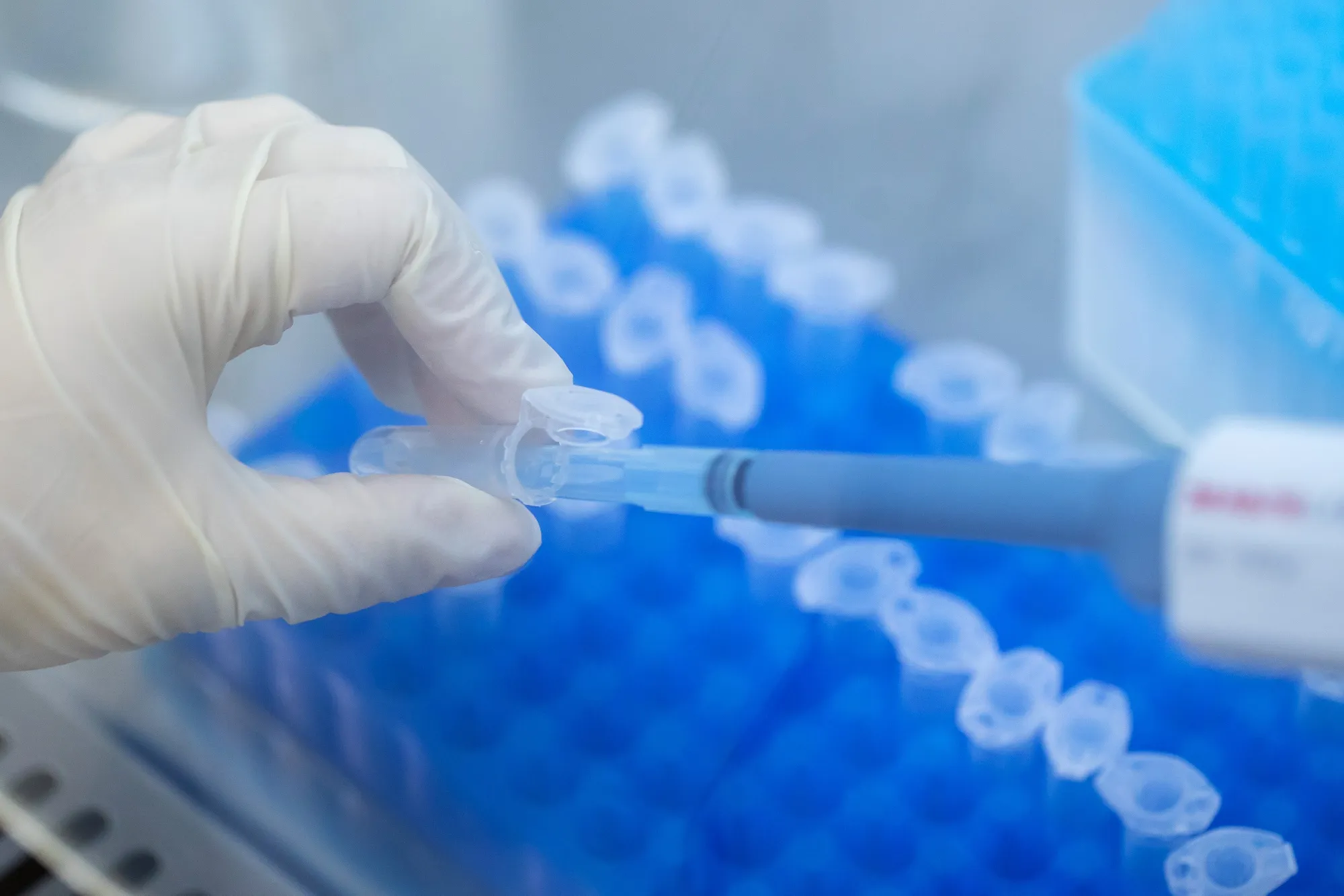 DNA Testing At The Gene Discovery Lab