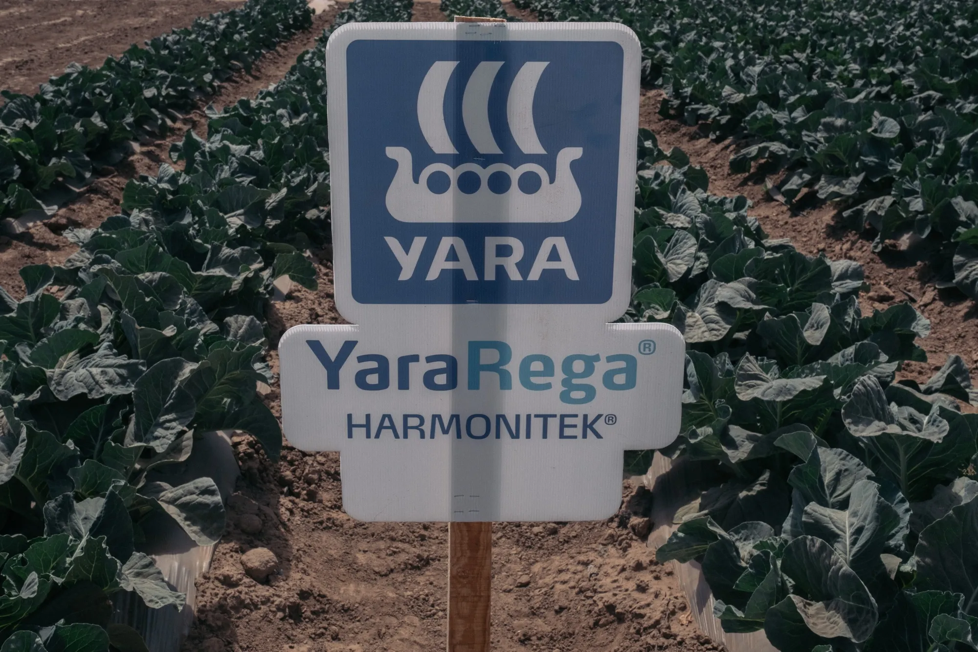 Inside The Expo Agro Sinaloa 2022 Event