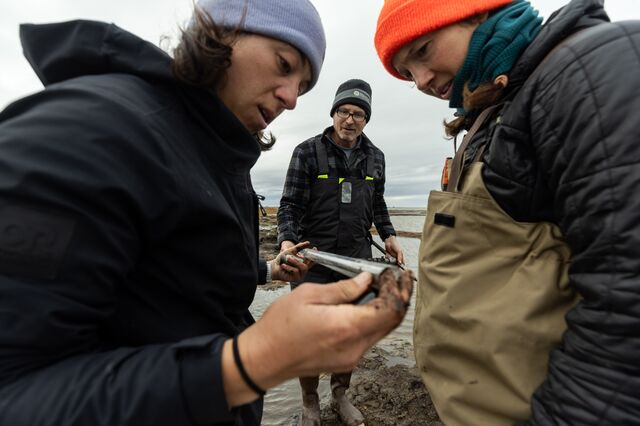 Alina Spera, Jim McClelland and Julia Guimond take soil samples at the edge of a Beaufort Sea lagoon.