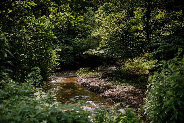 The creek that carries treated water from Martinka to the Tygart Valley River. 

