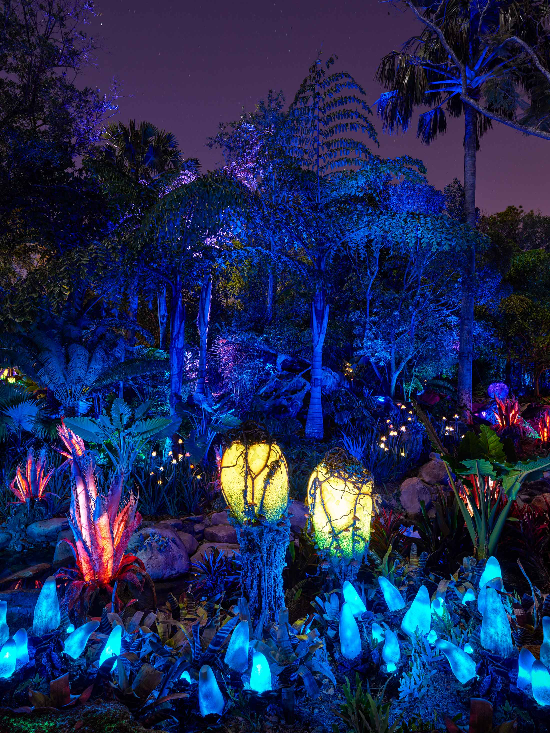 Pandora  Avatar Theme  Backdrops Fantastic Australia