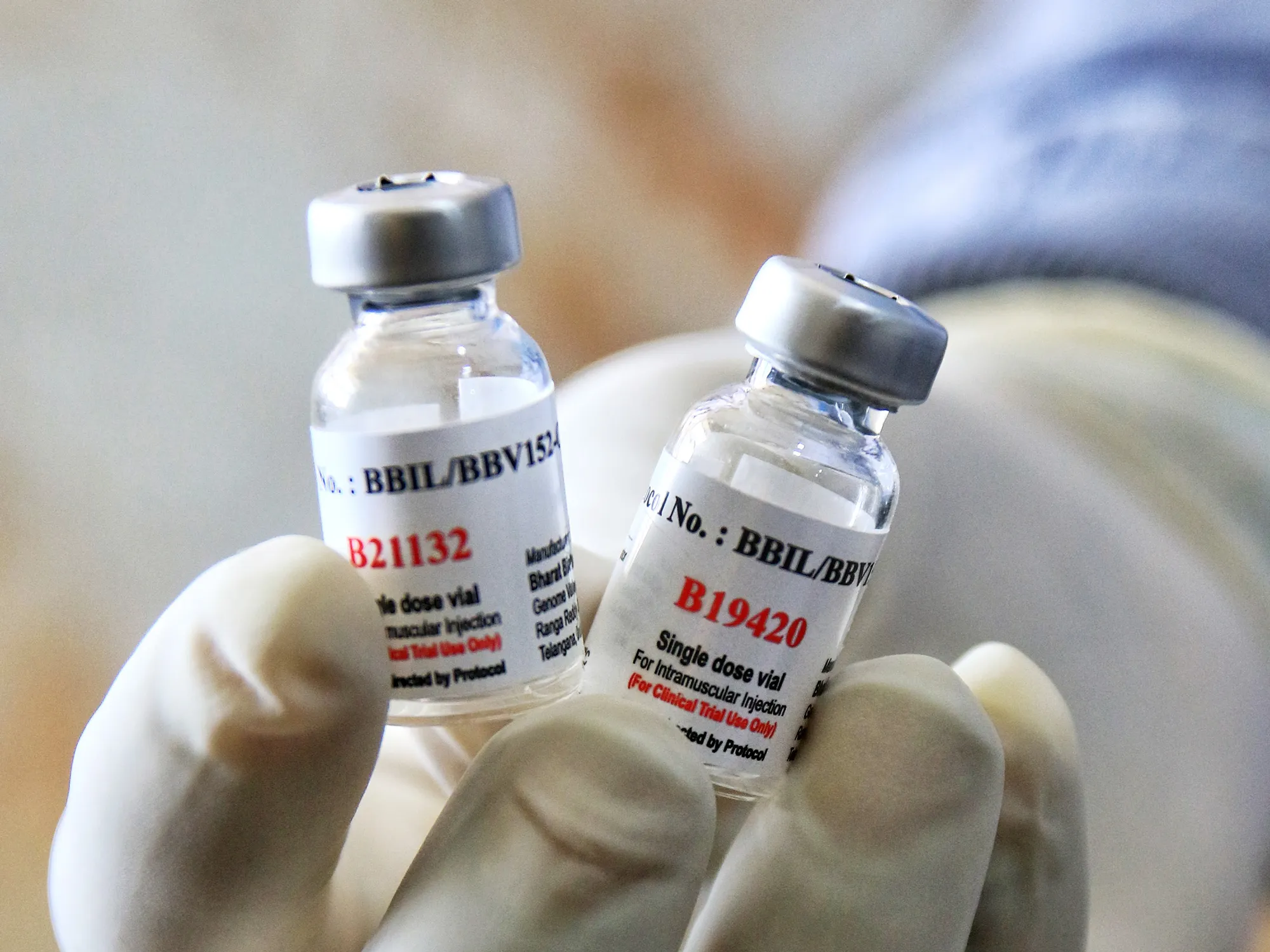 The indigenous vaccine.