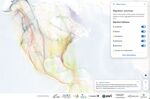 Different colors indicate the migration pathways of various birds in the new Bird Migration Explorer tool.