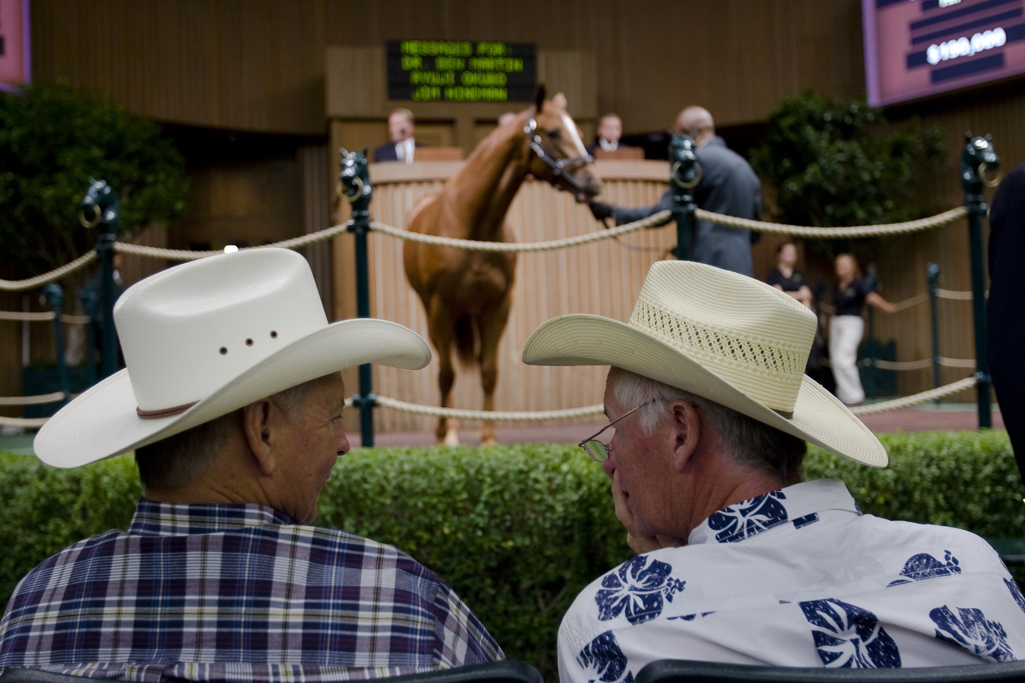 A horse stands in the sales pavilion as two potential bidders converse in the foreground during the Keeneland September Yearling Sale in Lexington, Kentucky, on Sept. 10,2007.