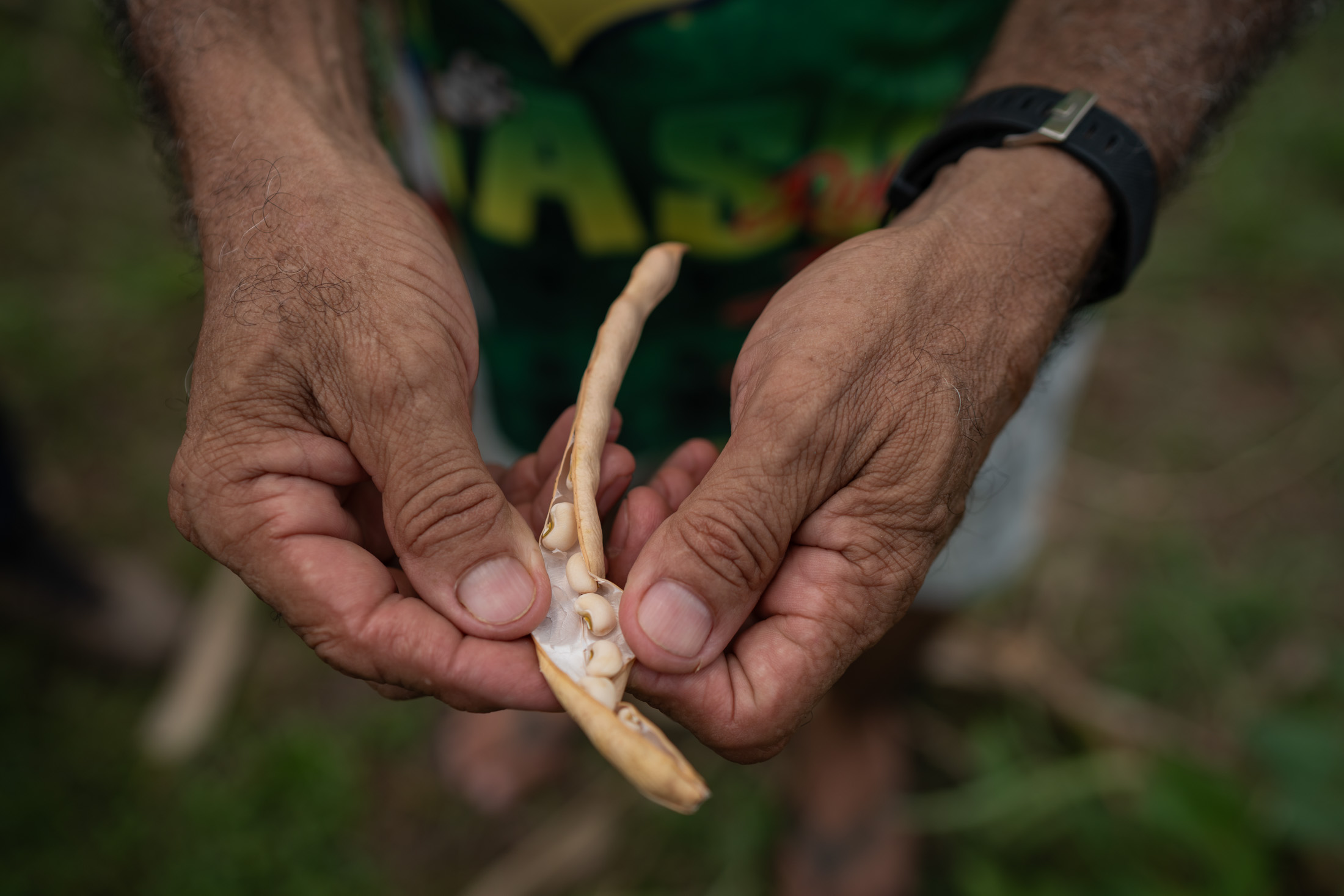 DROUGHT AMAZON RIVERS