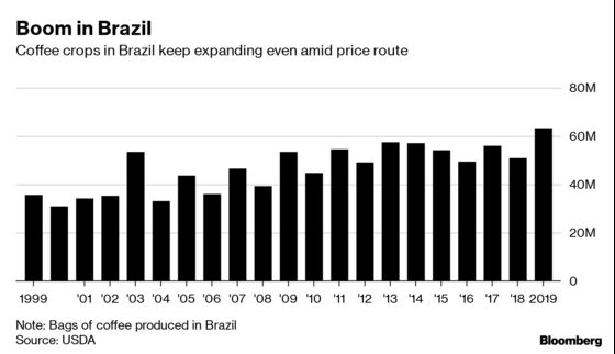 As Coffee Gets Cheaper, Brazil Finds Ways to Grow More for Less