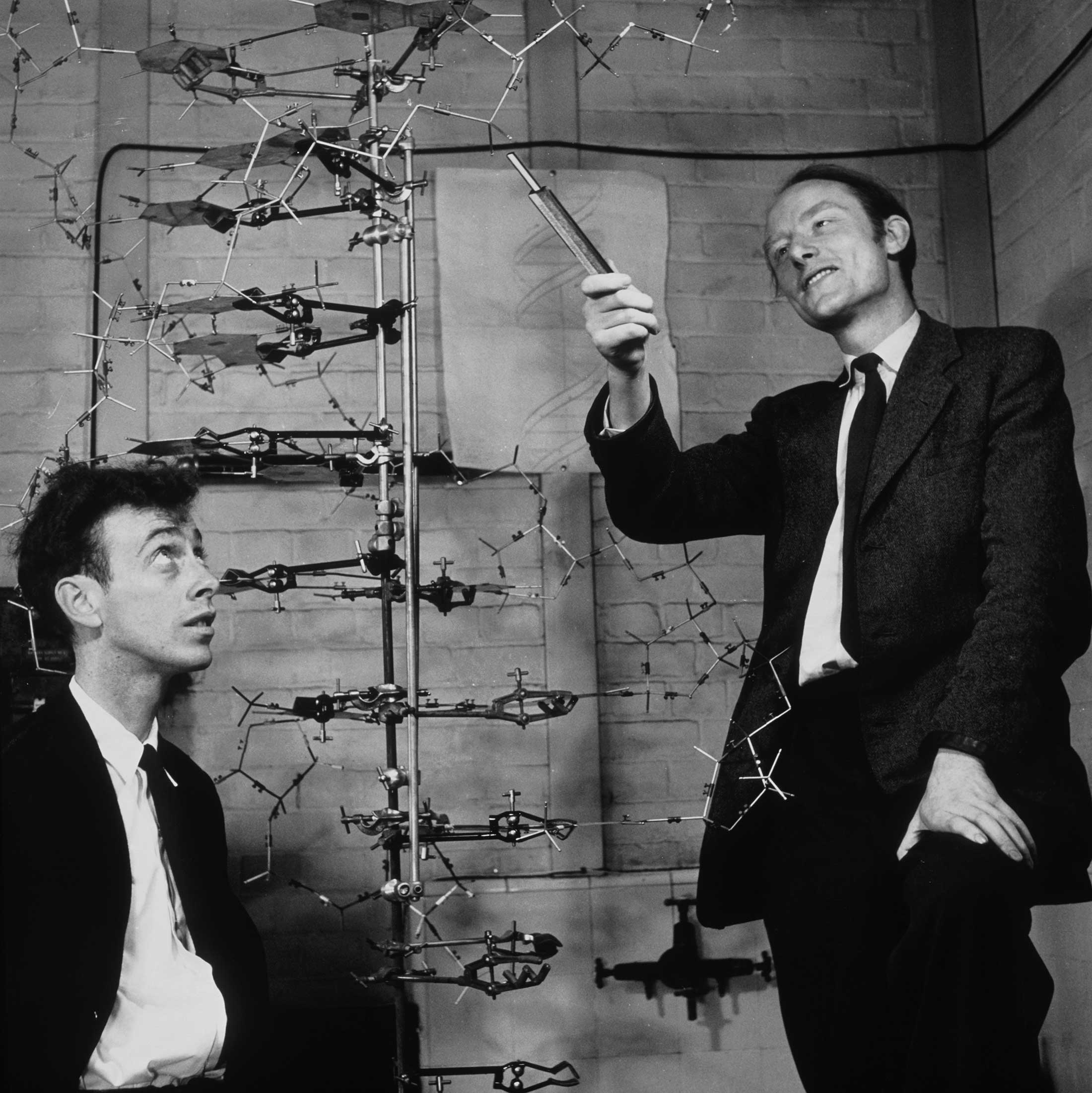 James Watson and Francis Crick, working with Rosalind Franklin and Maurice Wilkins, discovered the double helix structure in the 1950s.