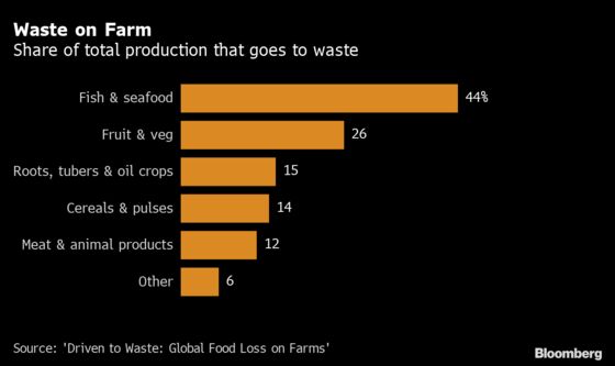 The Global Food Waste Crisis Is Even Bigger Than We Thought