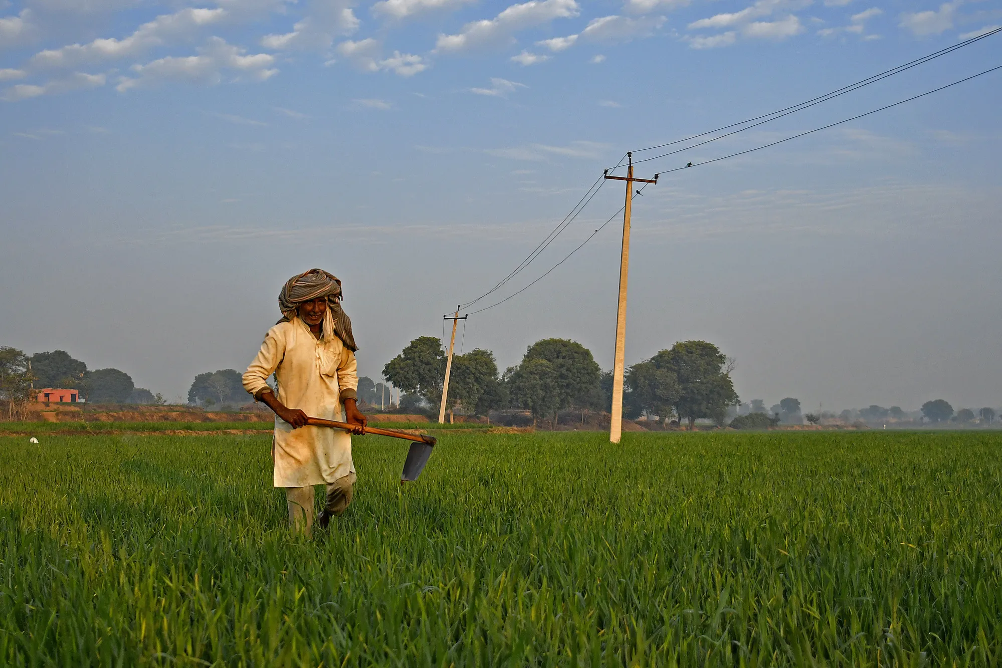 A farmer in Palwal district, Haryana.