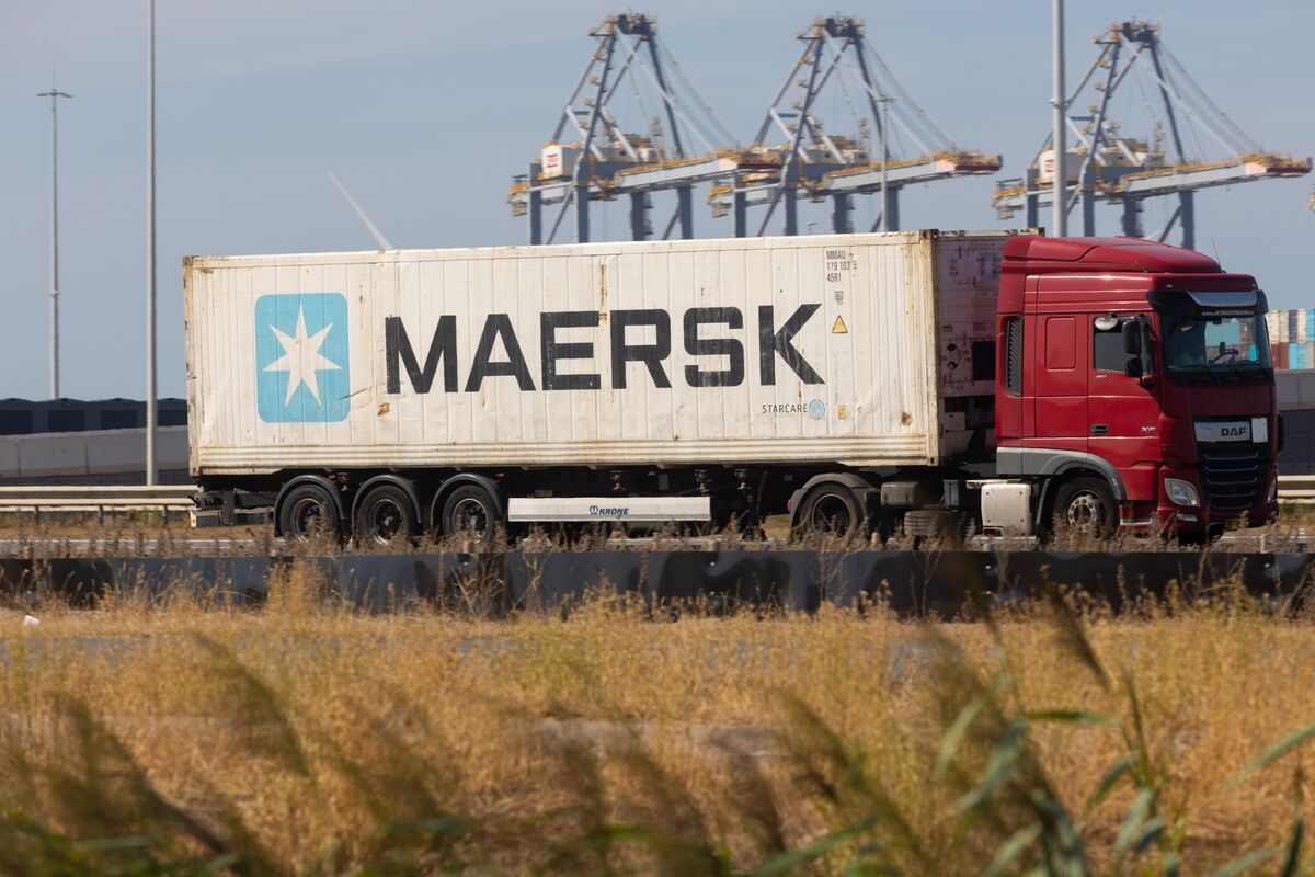 Global Trade Proves Resilient to Supply Shocks