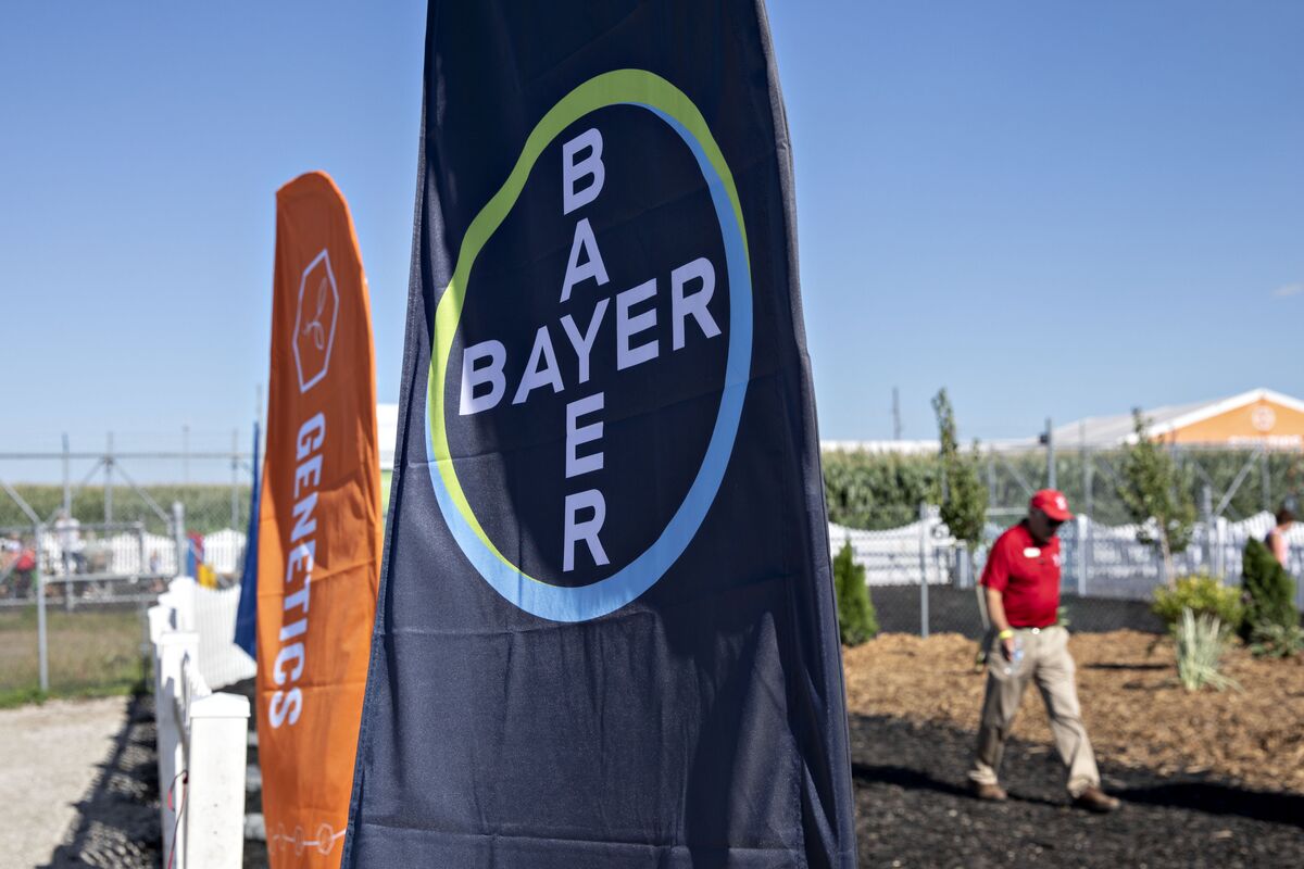 Bayer S Dicamba Hit Tests Patience Of Frustrated Investors Bloomberg