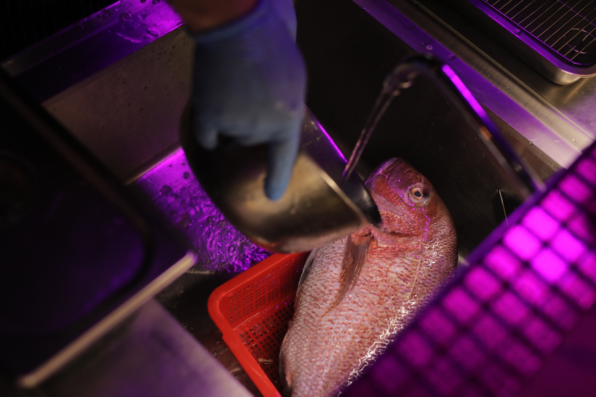 A chef prepares raw fish imported from Japan's Nagasaki Prefecture at a restaurant in Hong Kong, China.