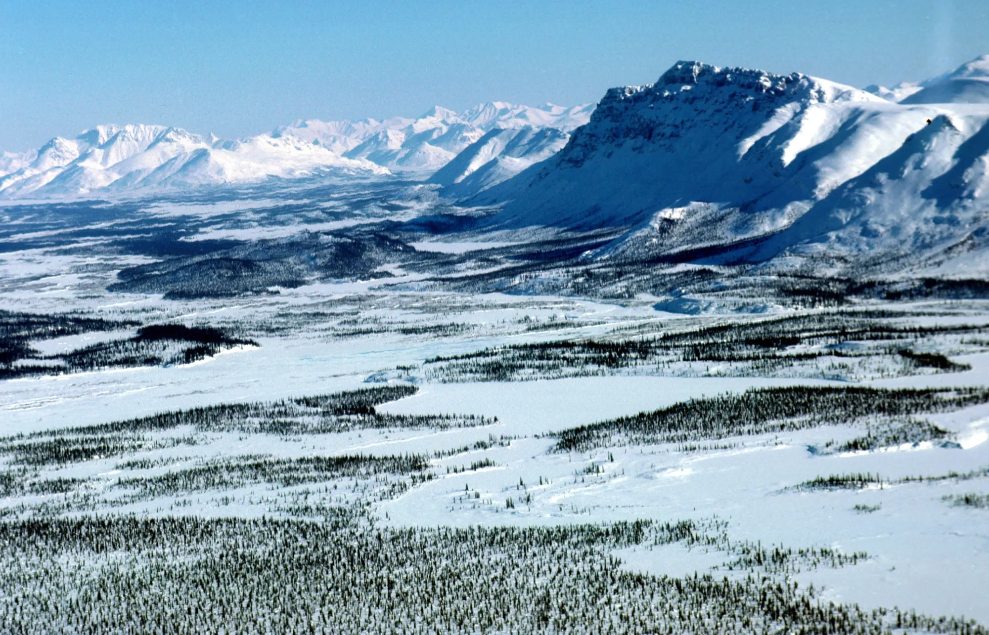 Arctic National Wildlife Refuge Eyed for Oil Drilling