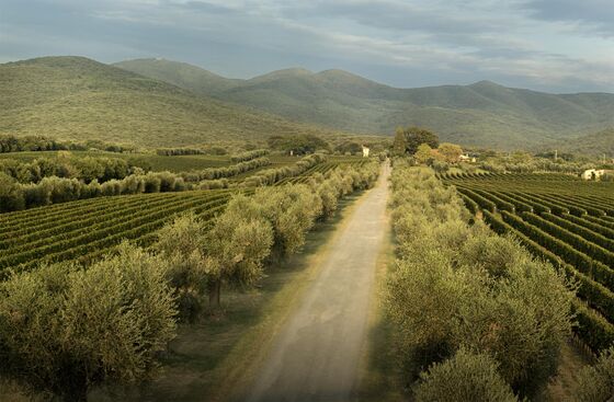 A $450 White Wine From Italy? Winemakers Bet on Big-Deal Biancos