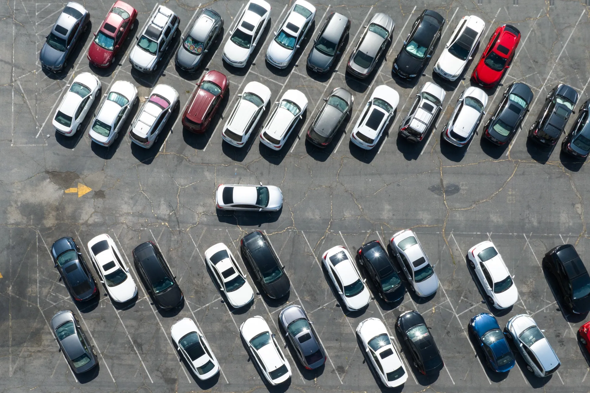 Los Angeles, home of ample parking.