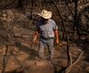 A fifth generation cattle rancher grabs a cow bell off of the carcass of a dead cow after the North Complex West Fire in the Tahoe National Forest in Butte County, California on Oct. 2.