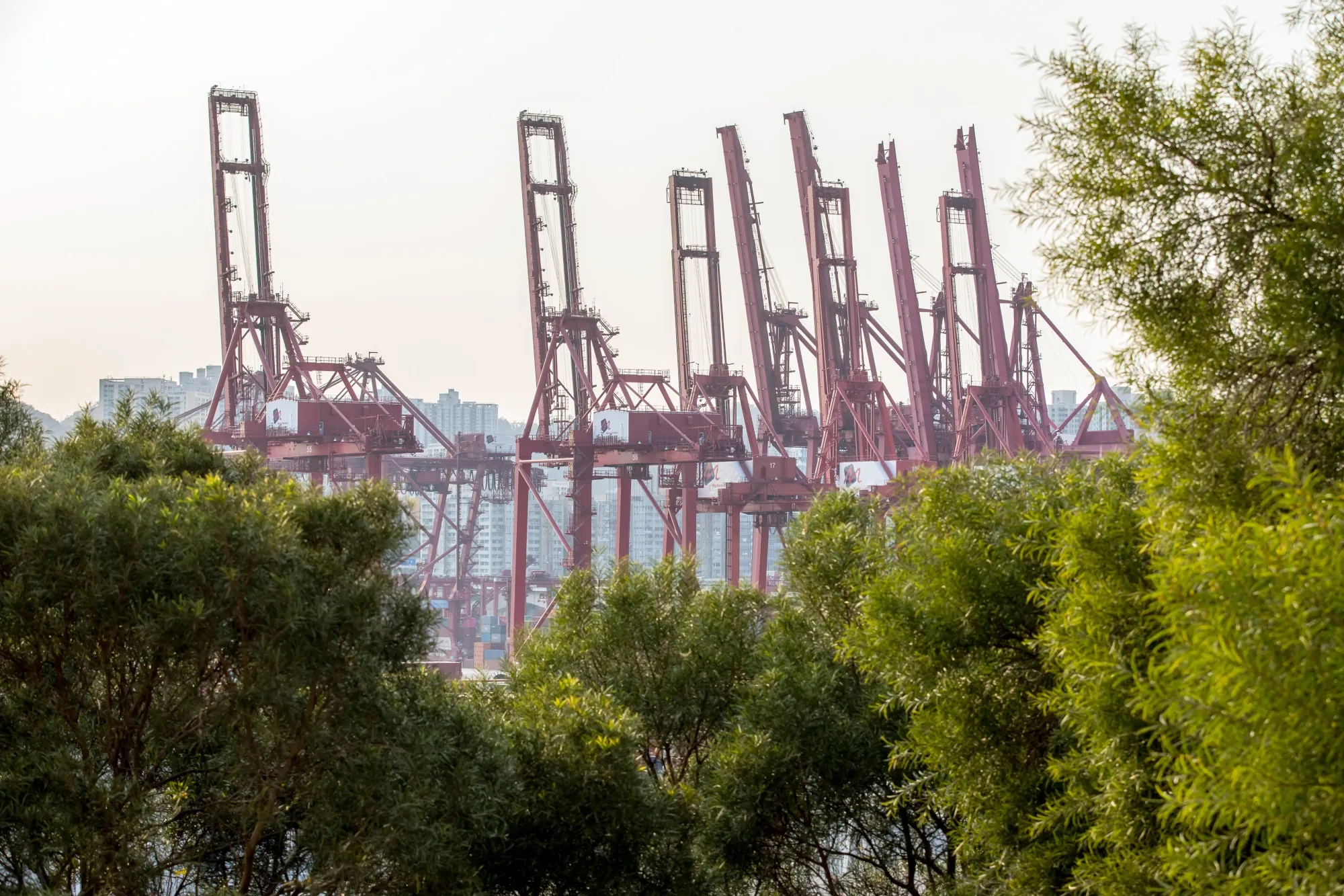 Views of the Kwai Tsing Container Terminal As Hong Kong's January Container Throughput Fell 20.4%