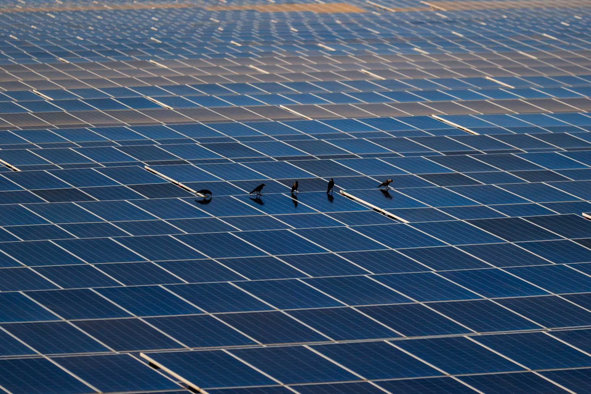 Image associated with story "Actis Is Said to Plan $2 Billion India Renewable Energy Platform"