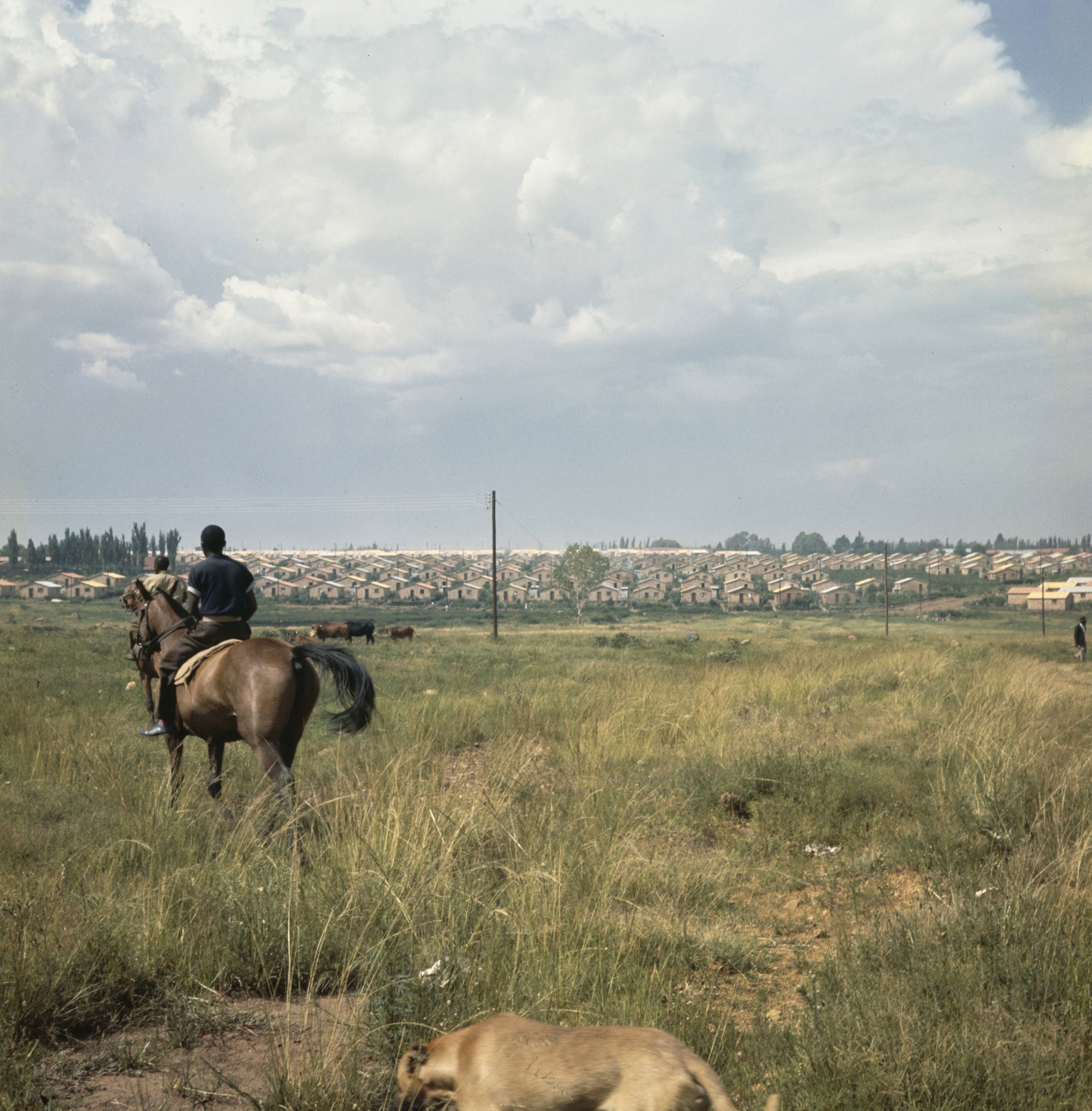 A man rides a horse on scrubland overlooking the Soweto township on the outskirts of Johannesburg, circa 1965.