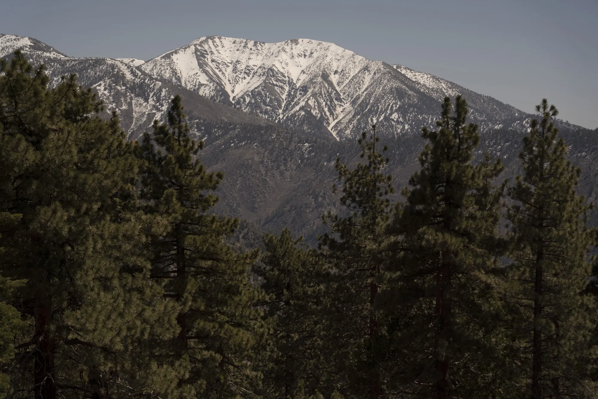 Snow on Mt. San Antonio during melting conditions in the San Gabriel Mountains near Big Pines, California.