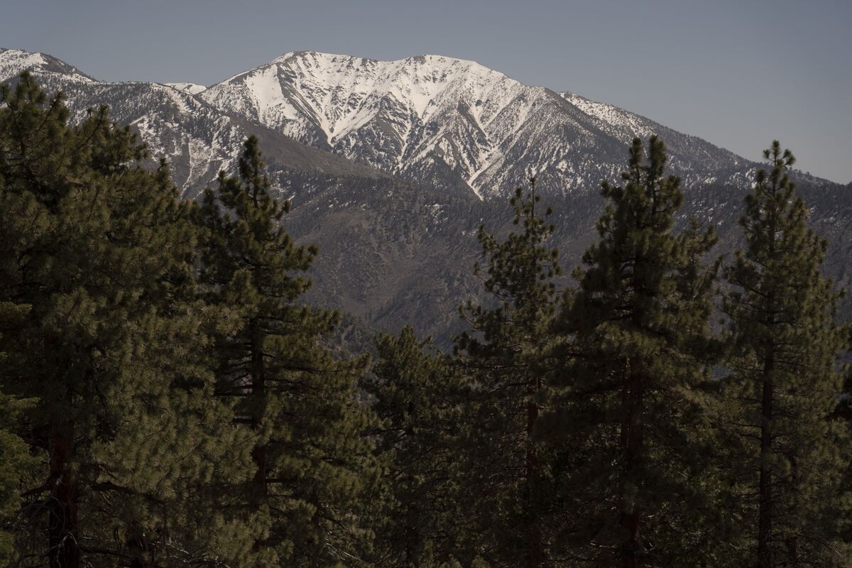 California’s Thin Snowpack Raises Summer Water Risks
