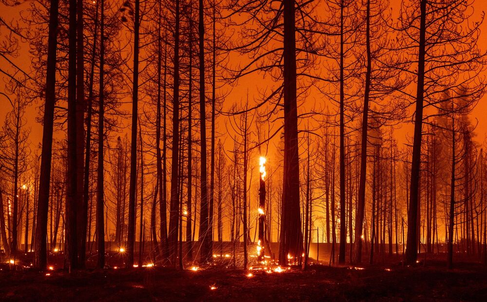 Third Hottest July Ever Shows How Even Modest Global Warming Looks Bloomberg