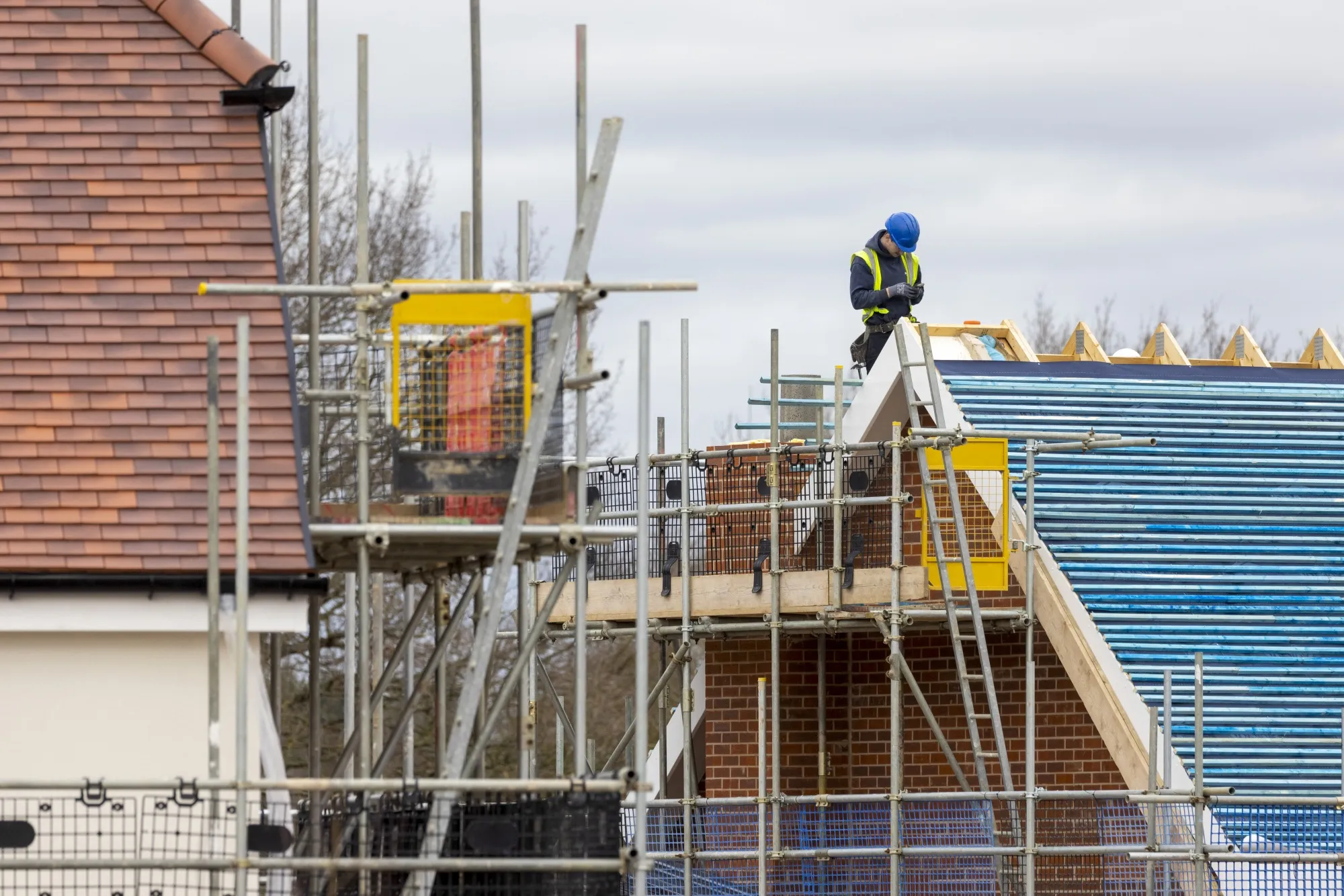 Services and construction expanding strongly in January.