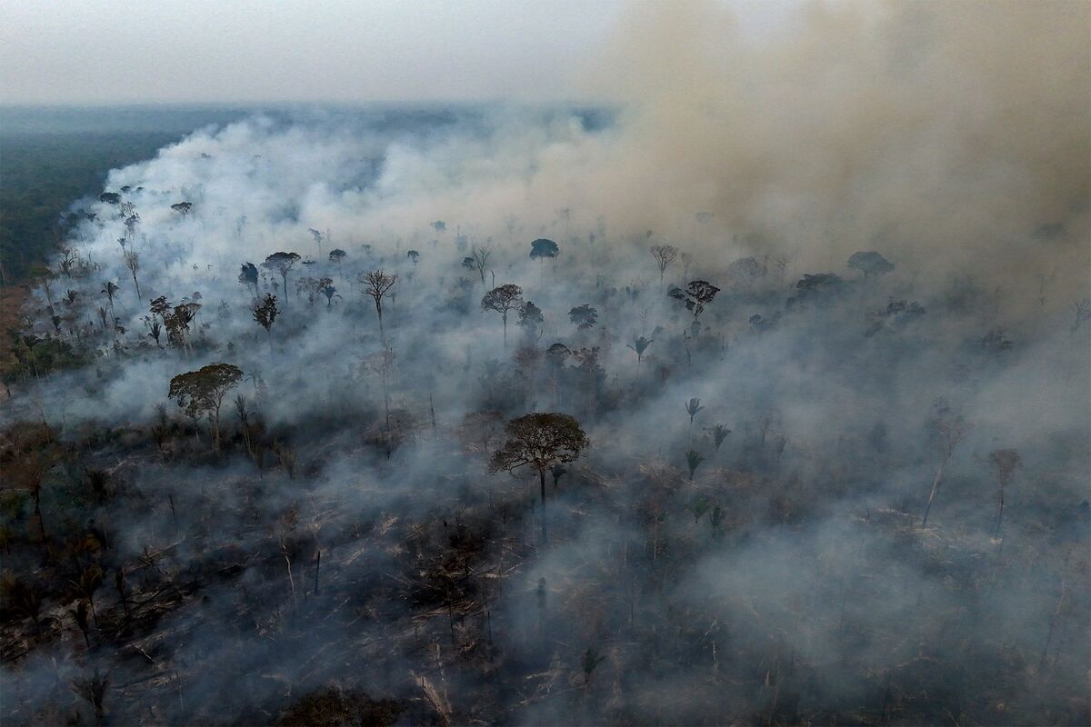 🟪"Allerta Rossa Globale: Temperature Estreme Scatenano Incendi Senza Precedenti"