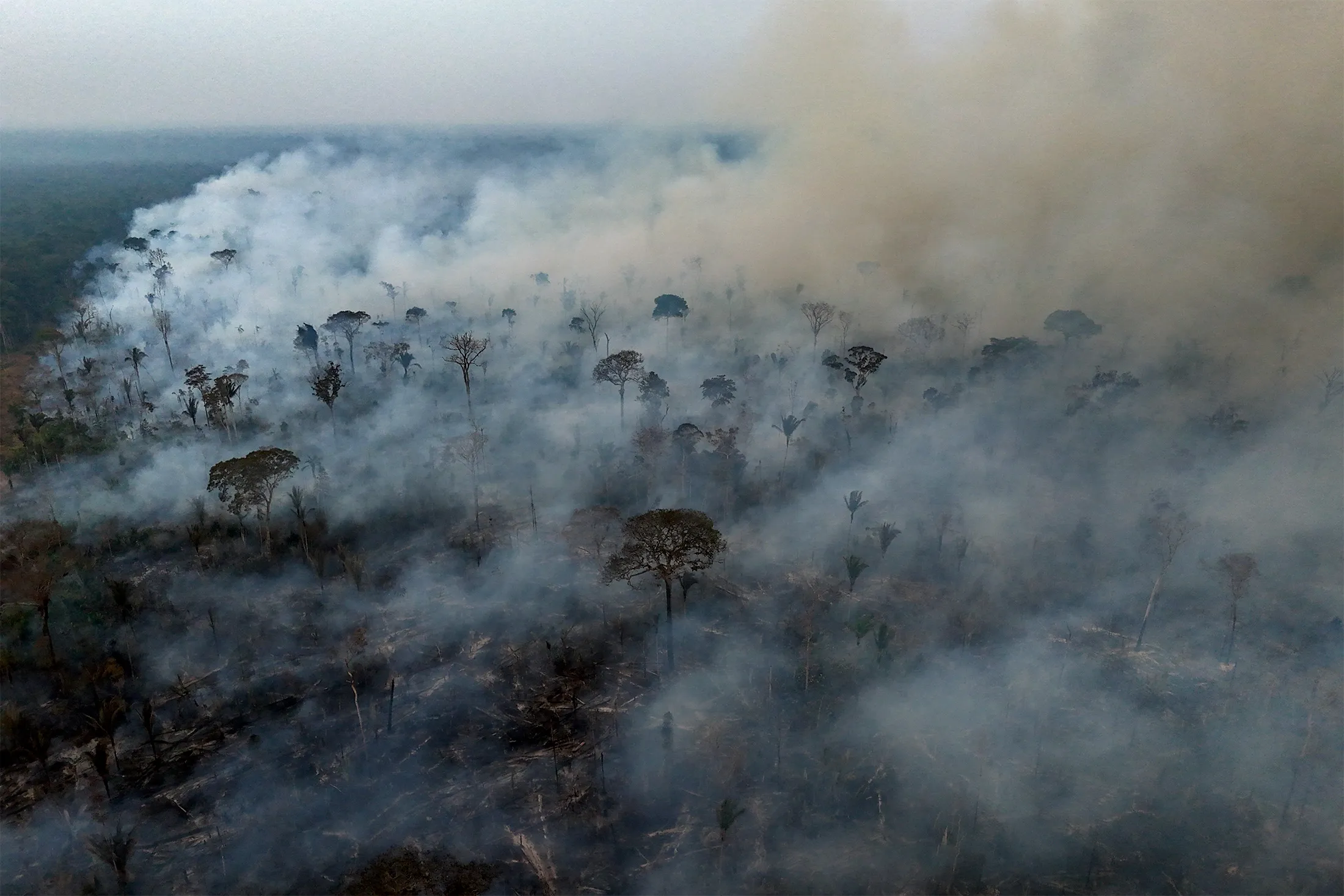 Smoke rises from a fire in the Amazon rainforest near the city of Labrea, Amazonas state,&nbsp;Brazil in September&nbsp;2024.