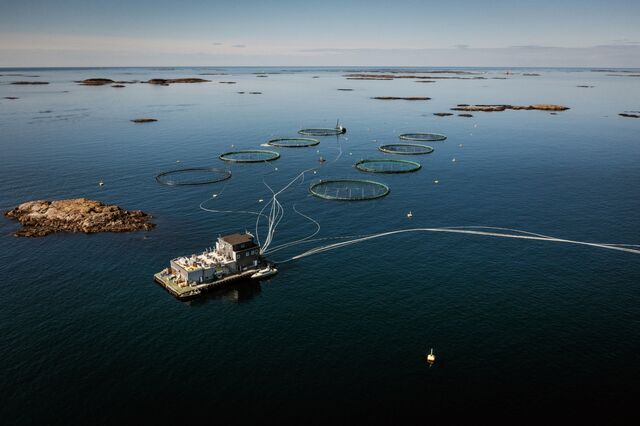 The Rataren fish farm with16 separate pens closer to shore, producing around 15,000 tonnes of salmon per generation.