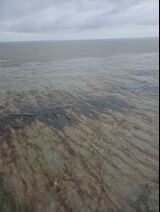 Oil Spill