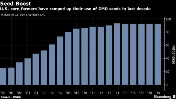 U.S. Corn Crop Is Now 92% Genetically Modified