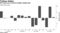 WTI ekes out a second straight weekly gain