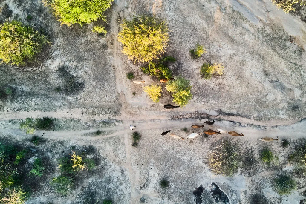 ZIMBABWE-CLIMATE-ENVIRONMENT-AGRICULTURE