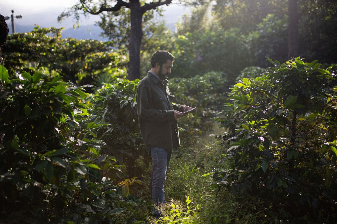relates to The Crop Software Behind Your Daily Cup of Coffee
