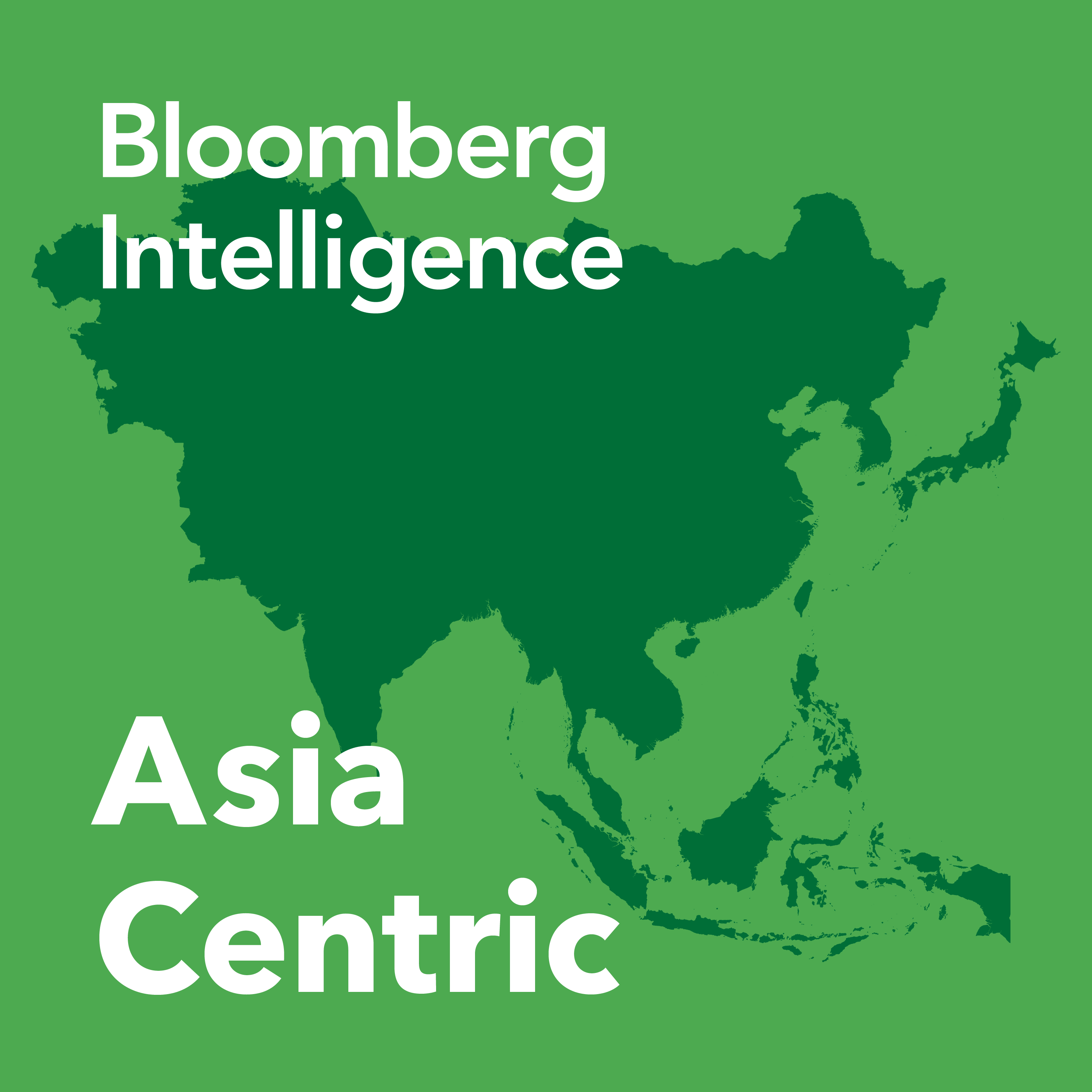 bloomberg.com - Asia Centric: Beijing Auto Show Heralds a Brutal EV War