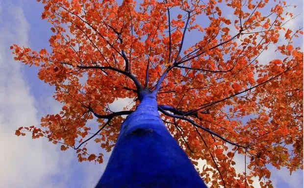 Something blue