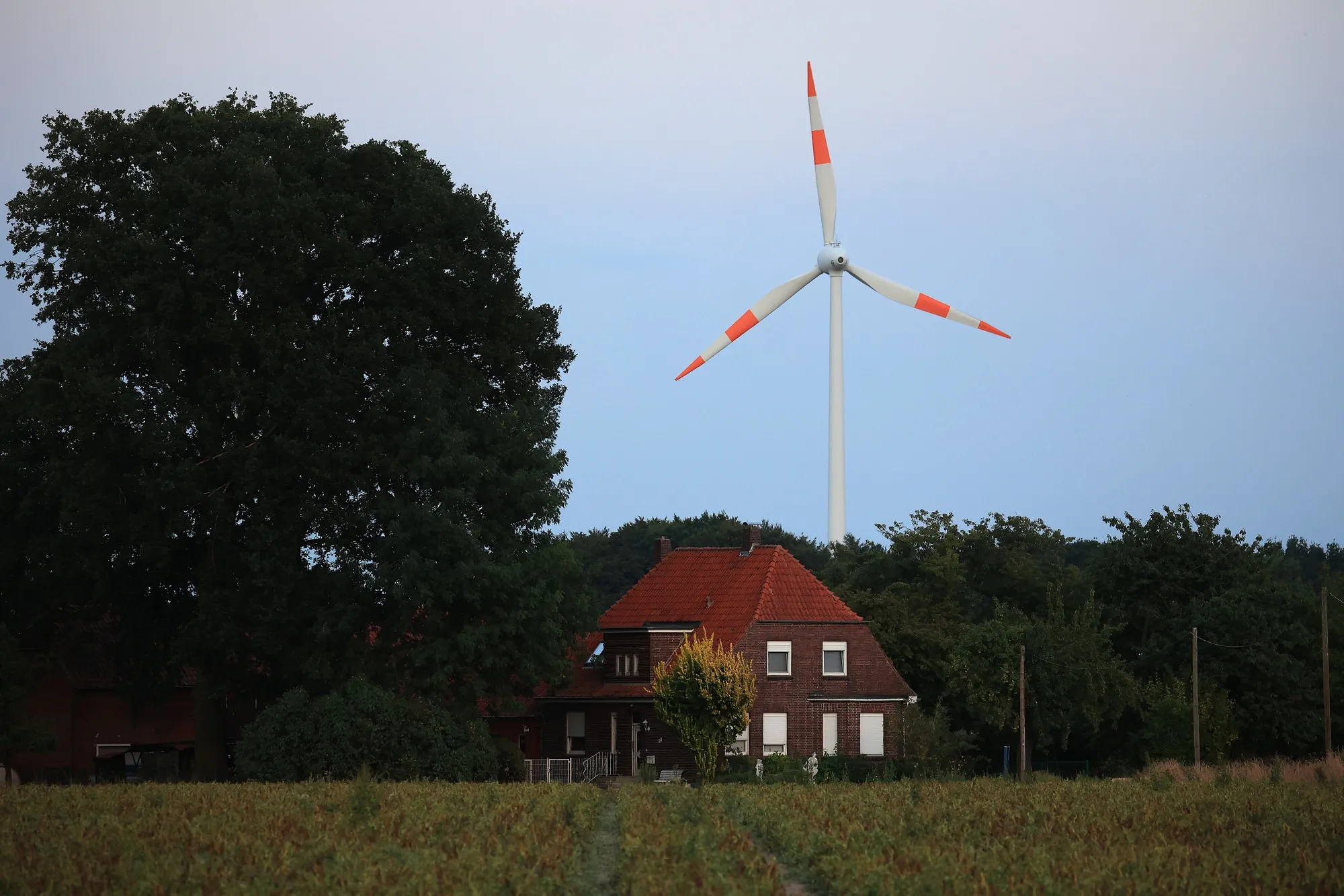 Why does it take so long to build a wind farm?