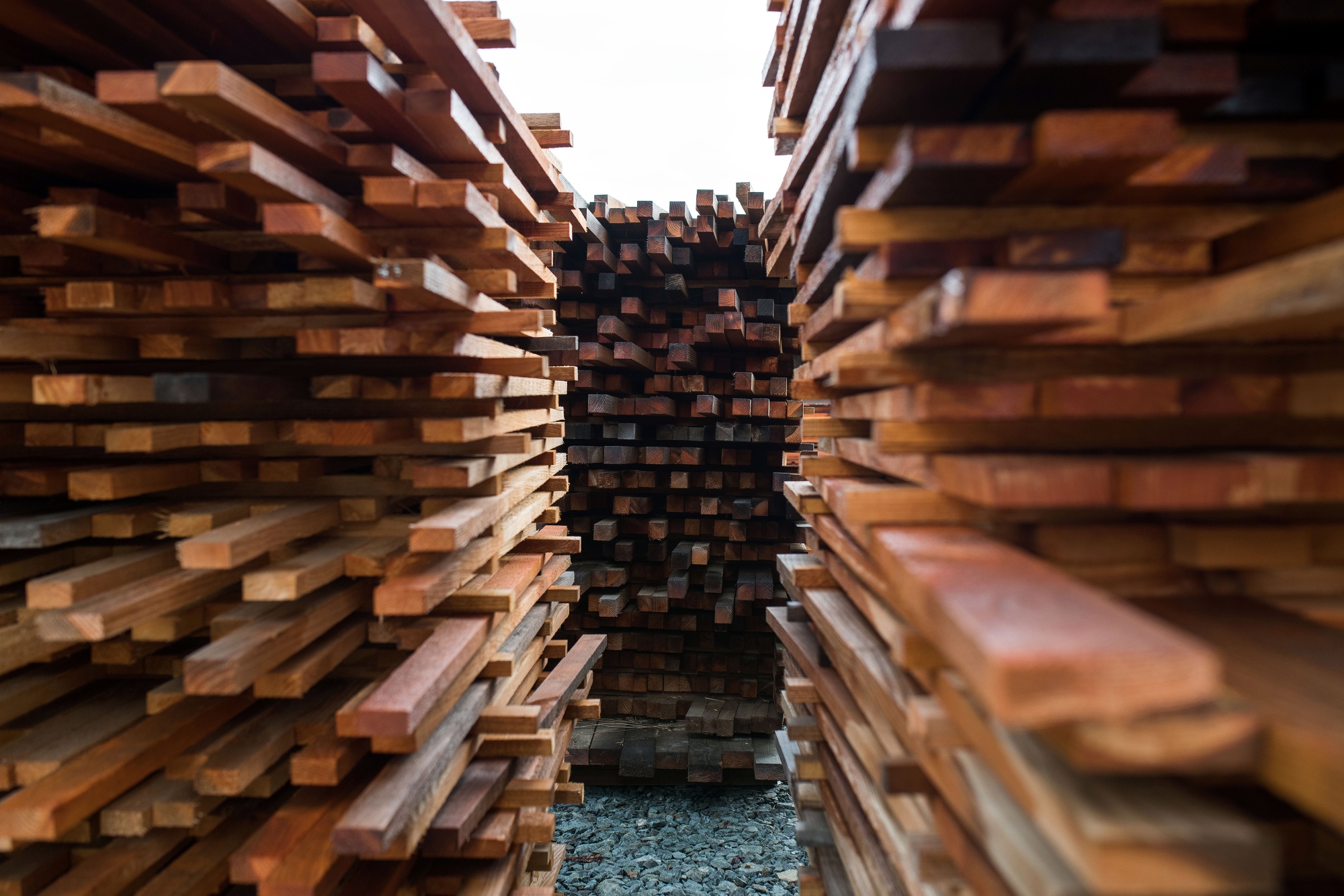 Stinson Dean on the Lumber Crash That Followed the Boom Bloomberg