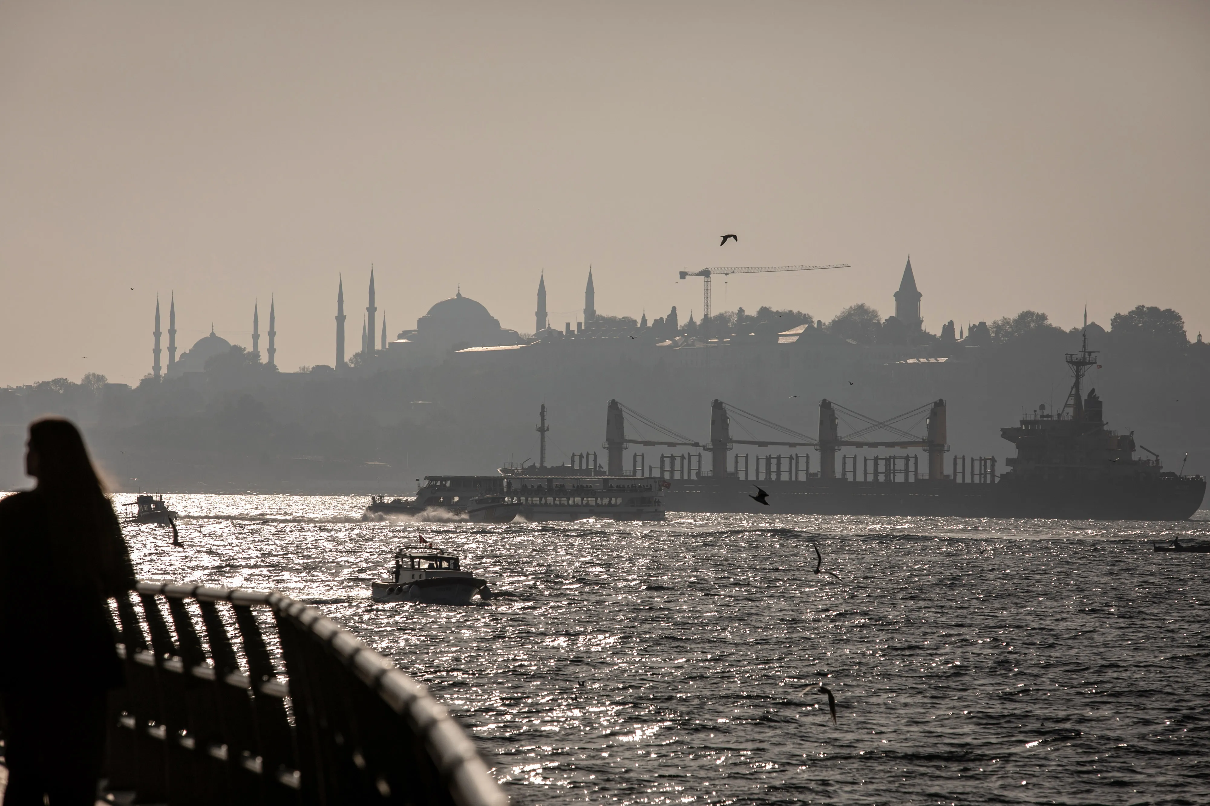 A bulk cargo vessel, carrying Ukrainian wheat bound for Spain, on the Bosporus Strait in Istanbul, Turkey, on&nbsp;Nov. 2.