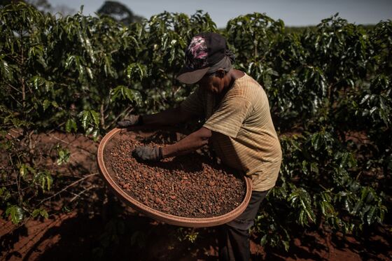 Brazil Is Running Out of Space to Store Its Coffee