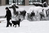 Texas weather 2011