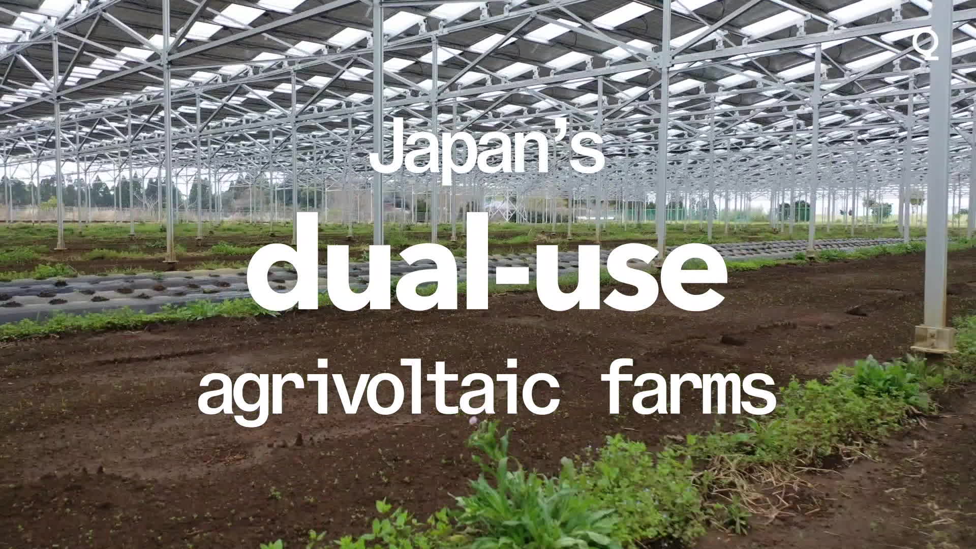 Watch Japan's DualPurpose Solar Farm Bloomberg