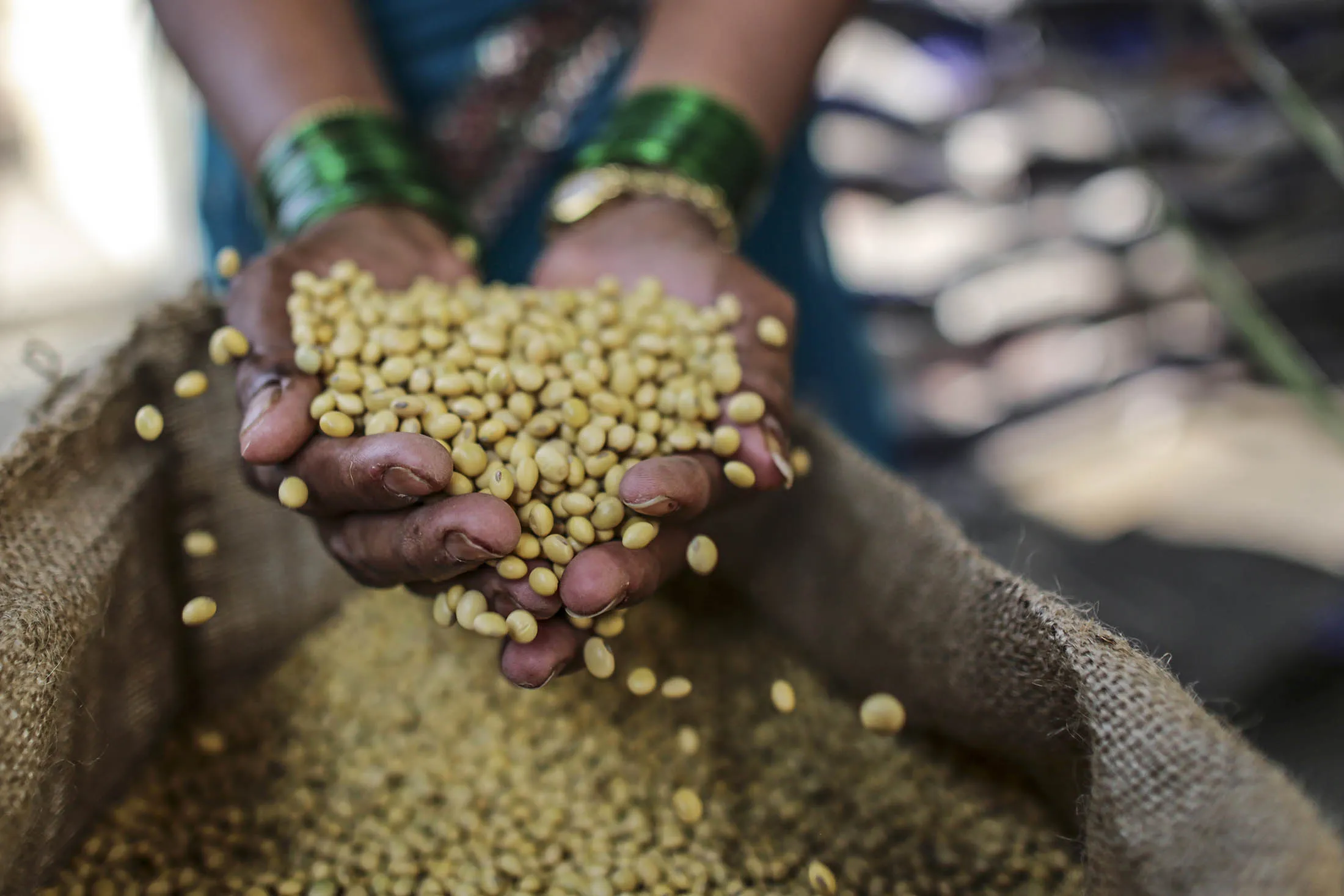 Soybean and Rice At Vashi Market As Wholesale Prices Unexpectedly Stagnate