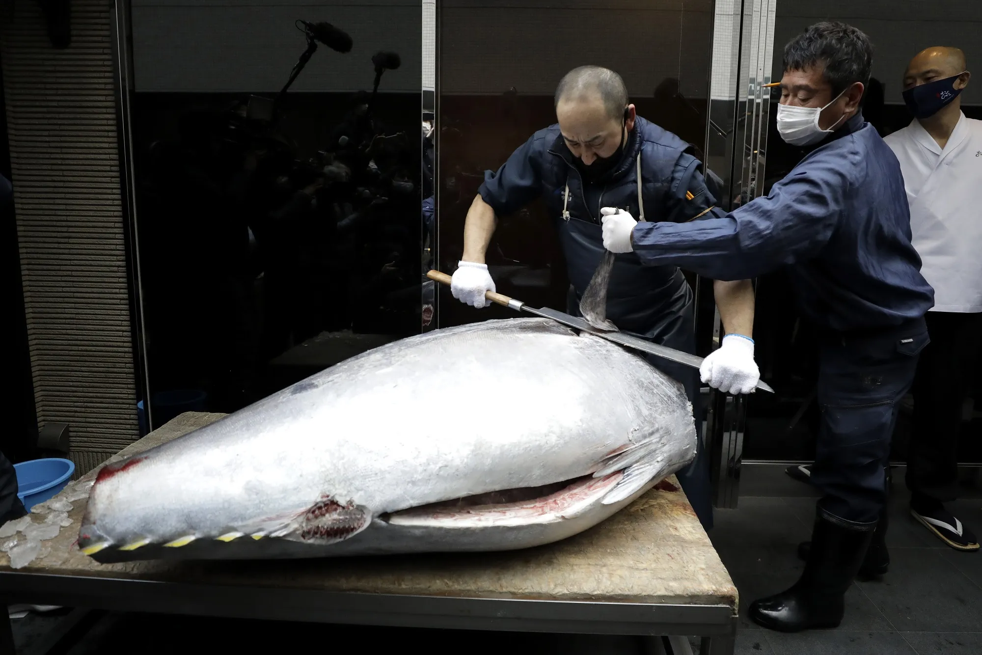 Tuna Sells for Just 10% of 2020 Price at Tokyo New Year Auction - Bloomberg